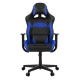 Gamdias ZELUS E1 L BB Conventional Tilt Gaming Chair (Large)
