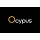 Ocypus