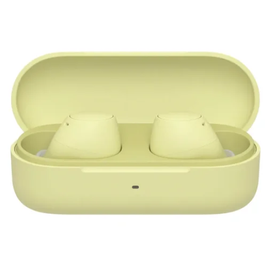 Sony WF-C510 True Wireless Earbuds
