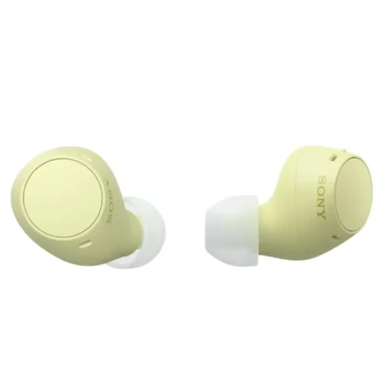Sony WF-C510 True Wireless Earbuds