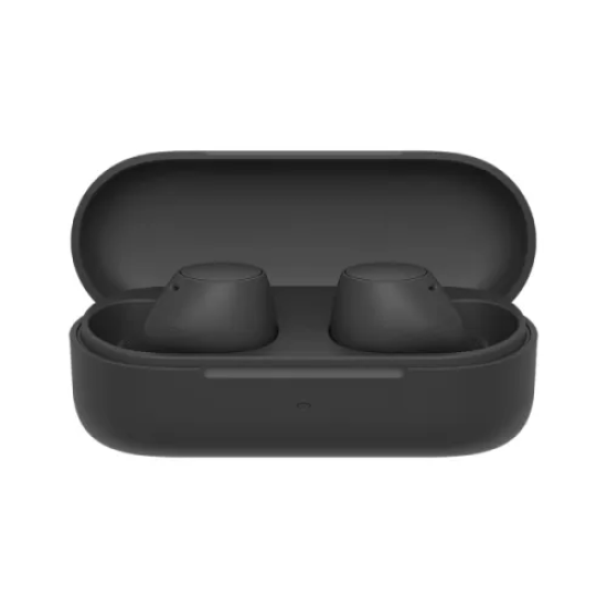 Sony WF-C510 True Wireless Earbuds