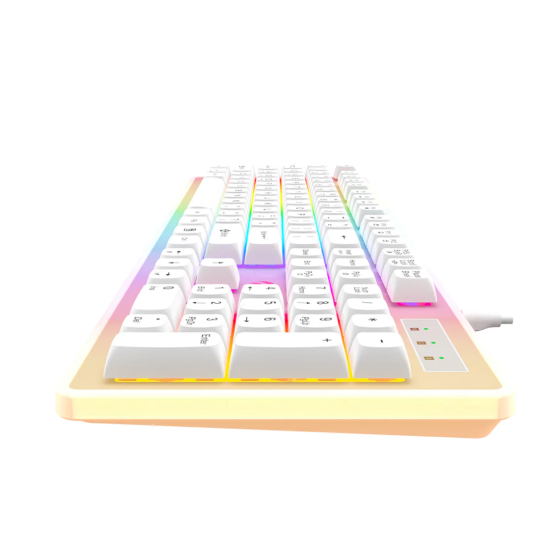 Havit KB876L USB Multi Function Backlit Gaming Keyboard