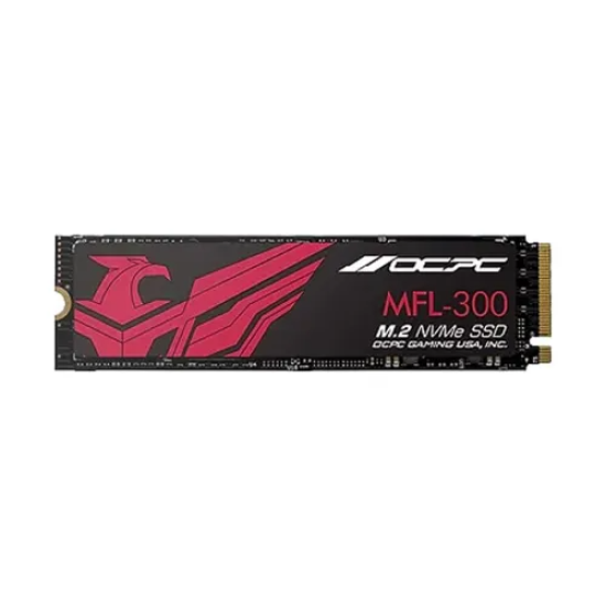 OCPC MFL 300 256GB M.2 NVMe SSD