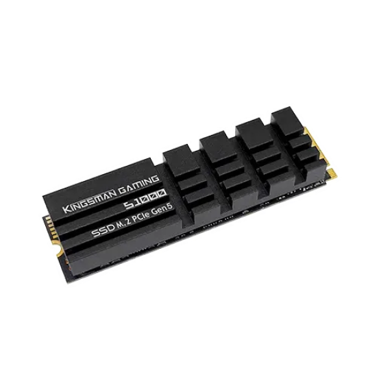 AITC Kingsman S1000 2TB Gen5 NVMe SSD with DRAM & Heatsink