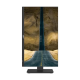 Dahua DHI-LM24-P301A 23.8" 2K QHD IPS Display 100 Hz Monitor