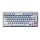 Rapoo V700DIY-75 Rgb Multi-Mode Backlit Mechanical Gaming Keyboard