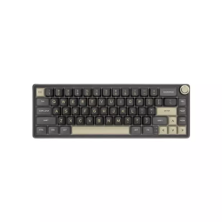 Royal Kludge RK R65 RGB Hotswappable Wired Mechanical Keyboard|Brown Switch